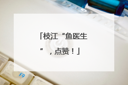 枝江“鱼医生”，点赞！