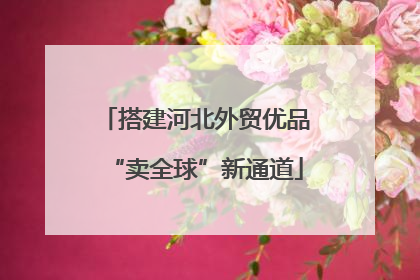 搭建河北外贸优品“卖全球”新通道