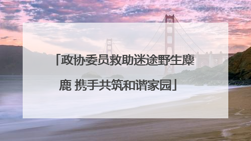 政协委员救助迷途野生麋鹿 携手共筑和谐家园