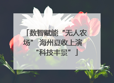 数智赋能“无人农场” 海州夏收上演“科技丰景”