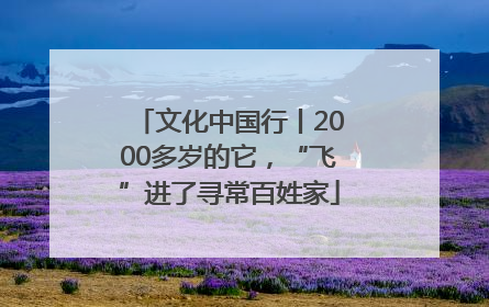文化中国行丨2000多岁的它，“飞”进了寻常百姓家