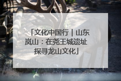 文化中国行｜山东岚山：在尧王城遗址探寻龙山文化