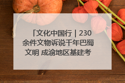 文化中国行｜230余件文物诉说千年巴蜀文明 成渝地区基建考古成果展开展