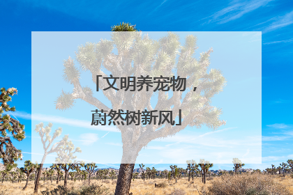 文明养宠物，蔚然树新风