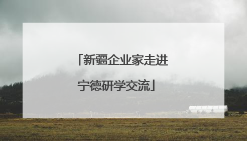 新疆企业家走进宁德研学交流
