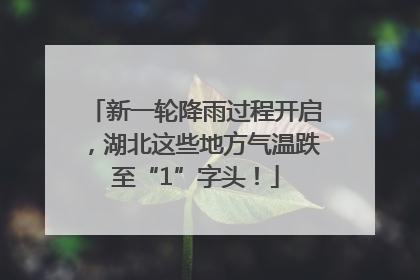 新一轮降雨过程开启，湖北这些地方气温跌至“1”字头！