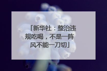 新华社：整治违规吃喝，不是一阵风不能一刀切