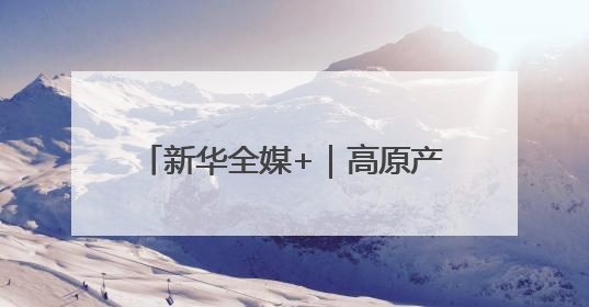 新华全媒+｜高原产品上“云”端——西藏电商发展一线观察