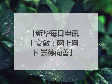 新华每日电讯丨安徽：网上网下 崇德向善