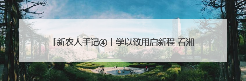 新农人手记④丨学以致用启新程 看湘潭新农人的文旅融合与产业升级之路