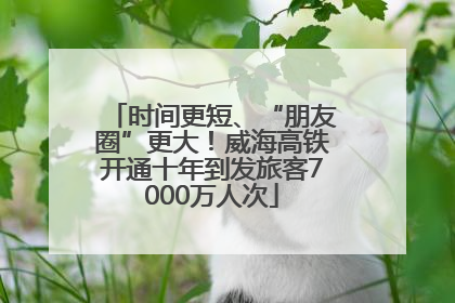 时间更短、“朋友圈”更大！威海高铁开通十年到发旅客7000万人次