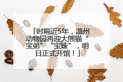 时隔近5年，温州动物园再迎大熊猫“宝弟”“宝妹”，明日正式开馆！