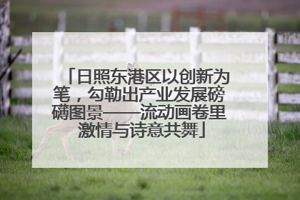 日照东港区以创新为笔，勾勒出产业发展磅礴图景——流动画卷里 激情与诗意共舞