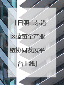 日照市东港区蓝莓全产业链协同发展平台上线