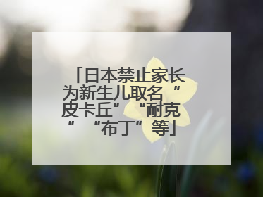 日本禁止家长为新生儿取名“皮卡丘”“耐克”“布丁”等