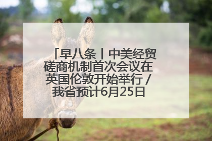 早八条丨中美经贸磋商机制首次会议在英国伦敦开始举行／我省预计6月25日公布高考成绩与录取最低控制分数线