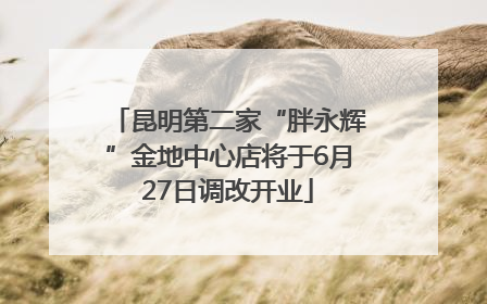 昆明第二家“胖永辉”金地中心店将于6月27日调改开业