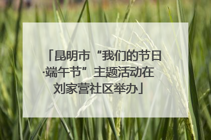 昆明市“我们的节日·端午节”主题活动在刘家营社区举办