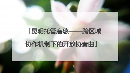 昆明托管磨憨——跨区域协作机制下的开放协奏曲