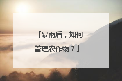 暴雨后，如何管理农作物？