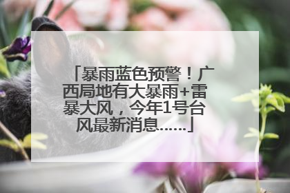 暴雨蓝色预警！广西局地有大暴雨+雷暴大风，今年1号台风最新消息……