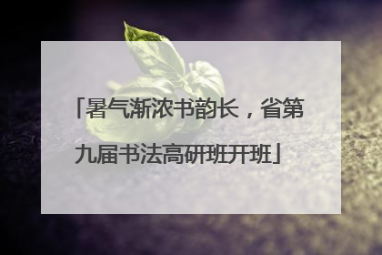 暑气渐浓书韵长，省第九届书法高研班开班
