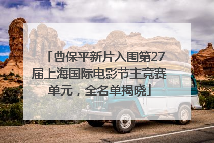 曹保平新片入围第27届上海国际电影节主竞赛单元，全名单揭晓