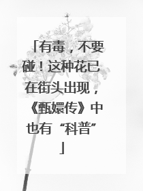 有毒，不要碰！这种花已在街头出现，《甄嬛传》中也有“科普”
