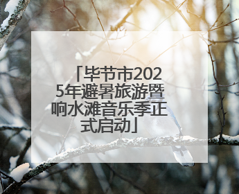 毕节市2025年避暑旅游暨响水滩音乐季正式启动