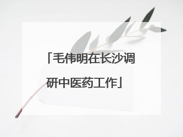 毛伟明在长沙调研中医药工作