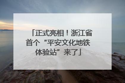 正式亮相！浙江省首个“平安文化地铁体验站”来了