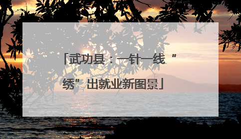 武功县：一针一线“绣”出就业新图景