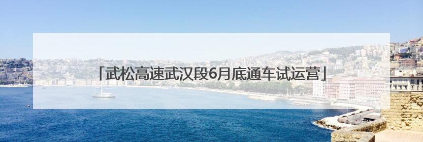 武松高速武汉段6月底通车试运营