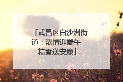 武昌区白沙洲街道：浓情迎端午 粽香送安康