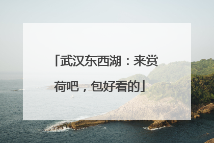 武汉东西湖：来赏荷吧，包好看的