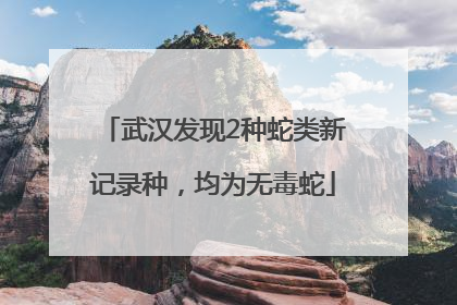 武汉发现2种蛇类新记录种，均为无毒蛇