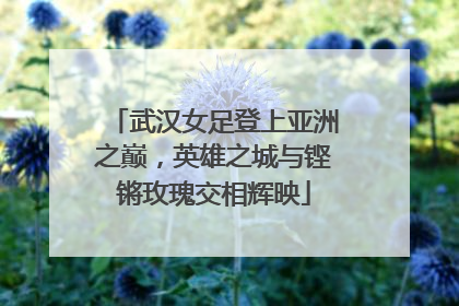 武汉女足登上亚洲之巅，英雄之城与铿锵玫瑰交相辉映