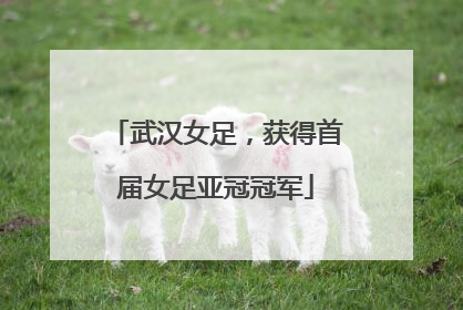 武汉女足，获得首届女足亚冠冠军