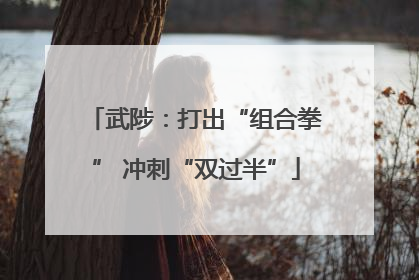 武陟：打出“组合拳” 冲刺“双过半”