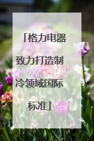 格力电器致力打造制冷领域国际标准