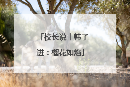 校长说丨韩子进：榴花如焰