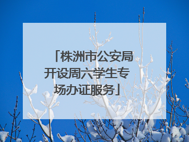 株洲市公安局开设周六学生专场办证服务