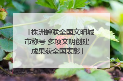 株洲蝉联全国文明城市称号 多项文明创建成果获全国表彰