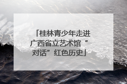 桂林青少年走进广西省立艺术馆“对话”红色历史