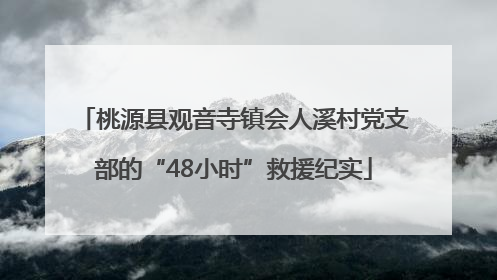 桃源县观音寺镇会人溪村党支部的“48小时”救援纪实