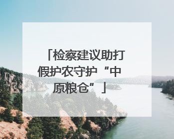 检察建议助打假护农守护“中原粮仓”