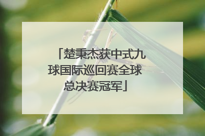 楚秉杰获中式九球国际巡回赛全球总决赛冠军