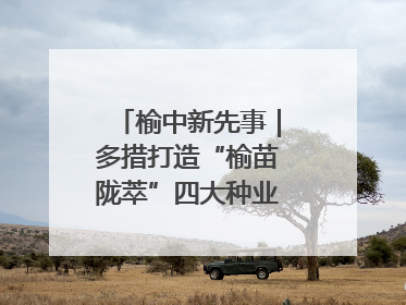 榆中新先事｜多措打造“榆苗陇萃”四大种业育苗品牌