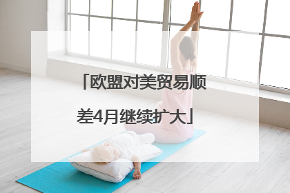 欧盟对美贸易顺差4月继续扩大