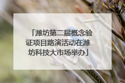 潍坊第二届概念验证项目路演活动在潍坊科技大市场举办